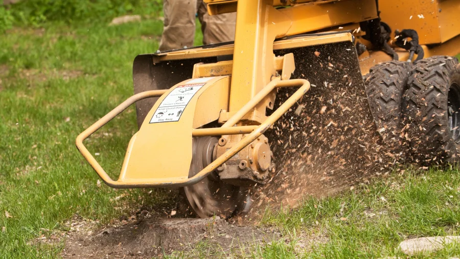 Stump Grinding and Removal Services